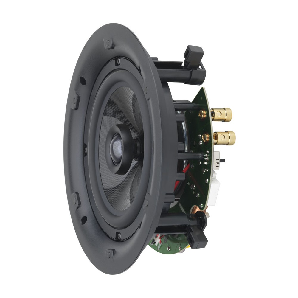 qi65cp_6.5_performance-speaker-side_1