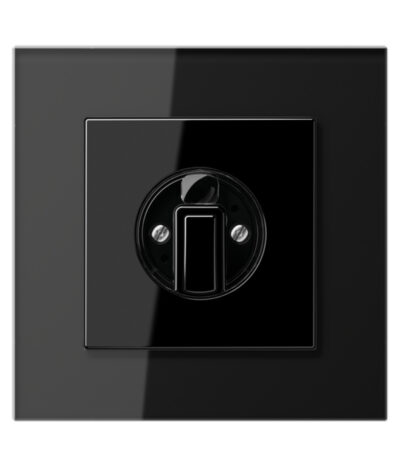 Black (Glass Frame) Switches